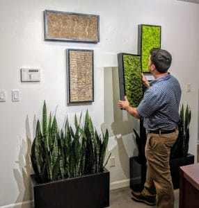 installing a living moss wall